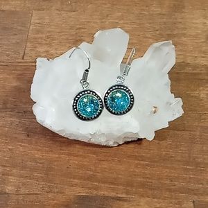 Rainbow Fish Titanium Earrings